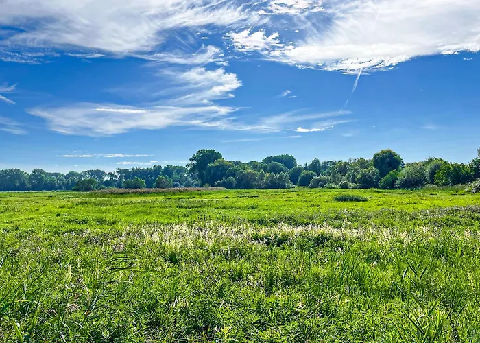 Haffblick 10 Appartamento *